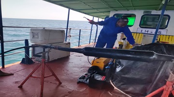 trabajadores en labores de restablecimimento de telecomunicaciosnes